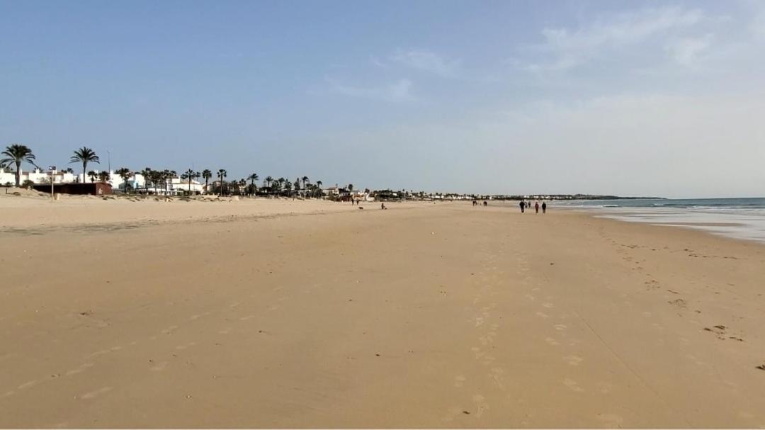 Villa Yoli 26 Con Piscina Y Jardin Cerca De La Playa Chiclana de la Frontera Eksteriør billede